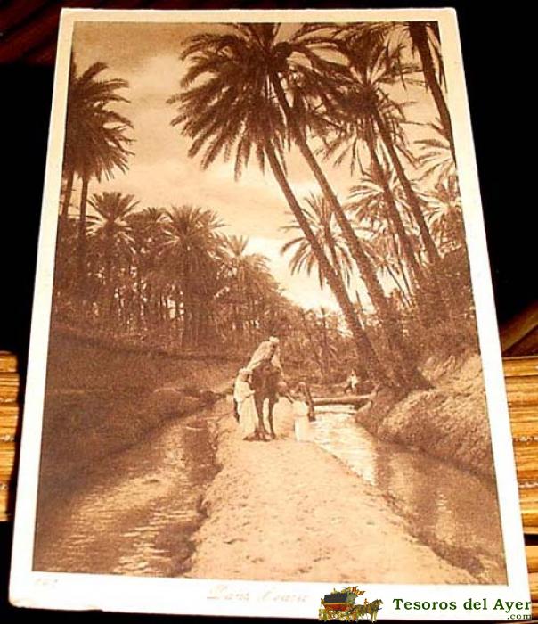 Antigua  postal de marruecos - vista parcial oasis - reflejo - ed.l.l - no circulada.