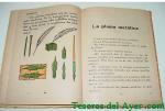Haga click para ampliar